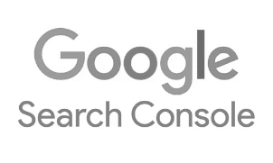 Logo Google Search Console